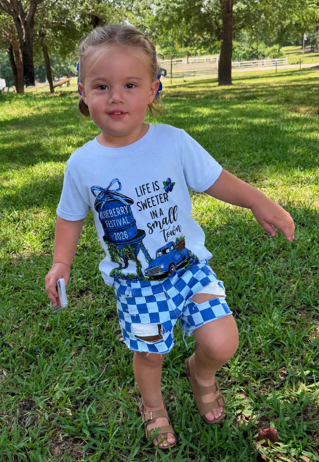 Blue Checkered Distressed Denim Shorts