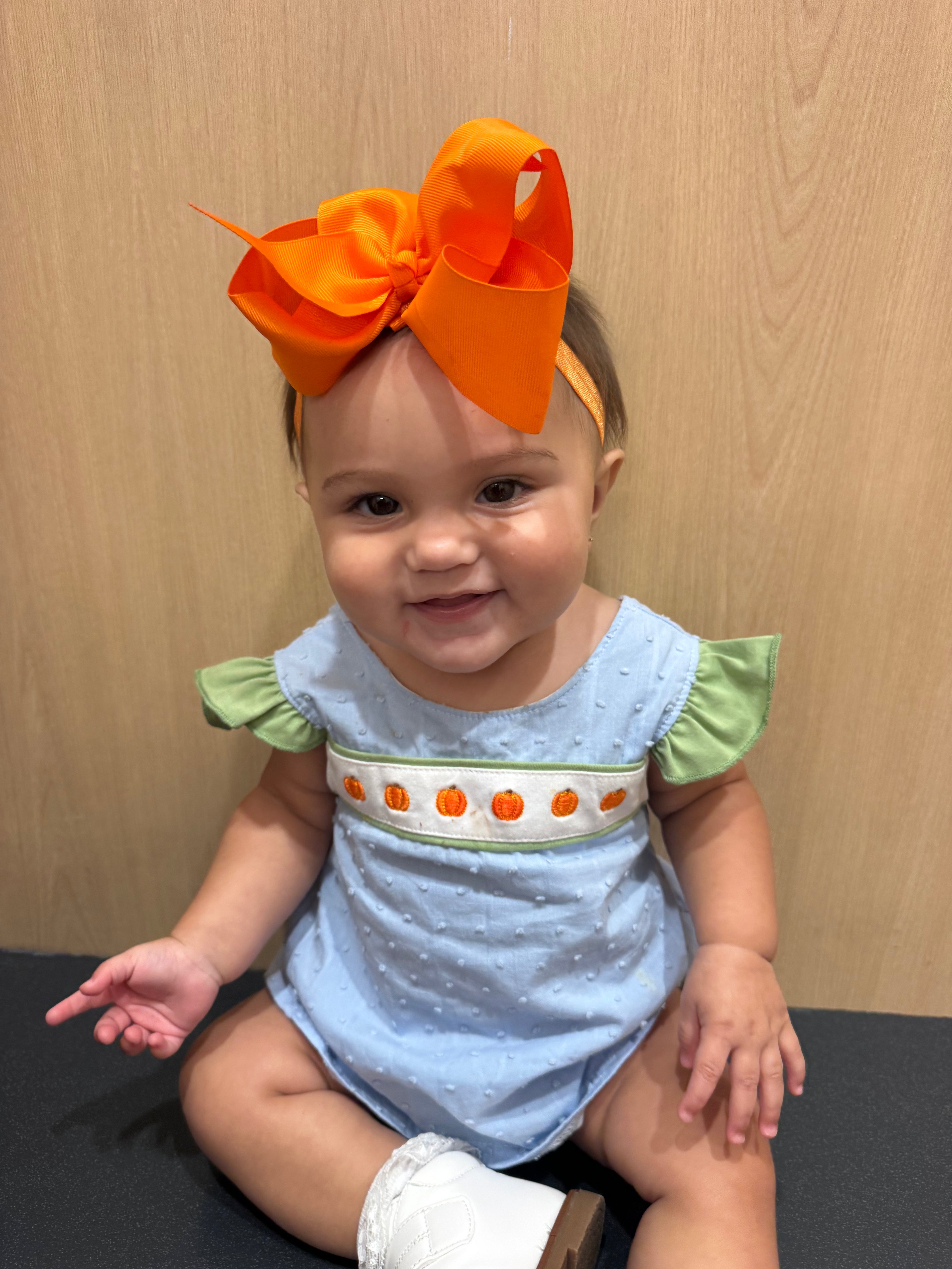 Pumpkin Patch Bow Bloomer Set