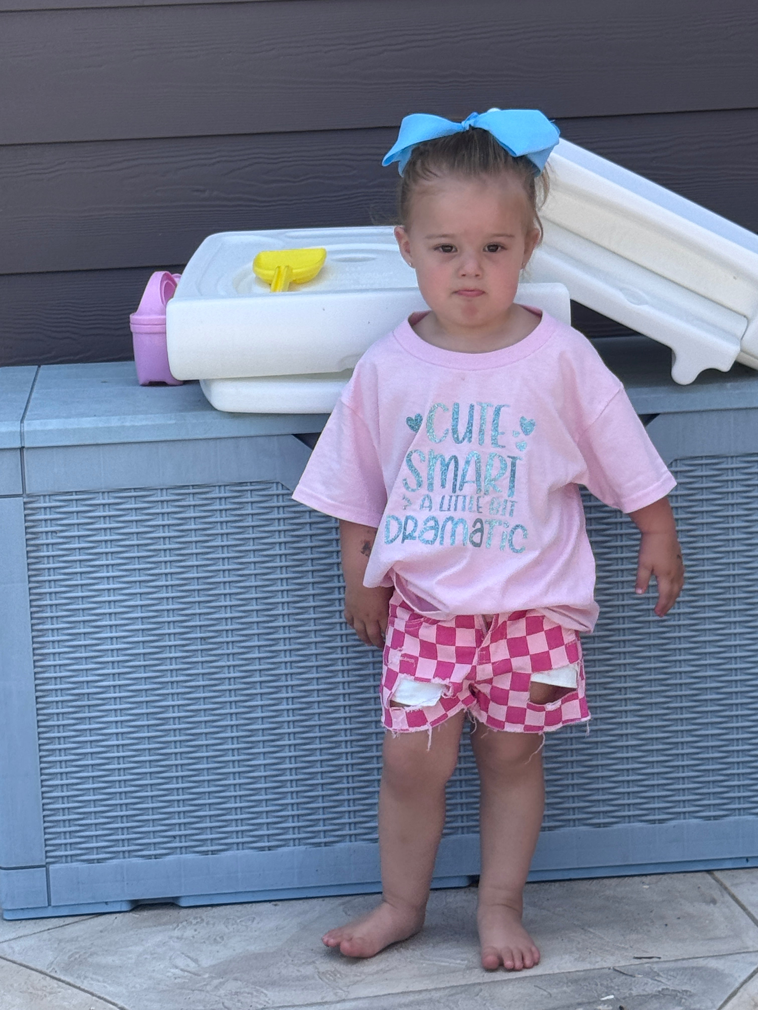 Pink Gingham Distressed Shorts