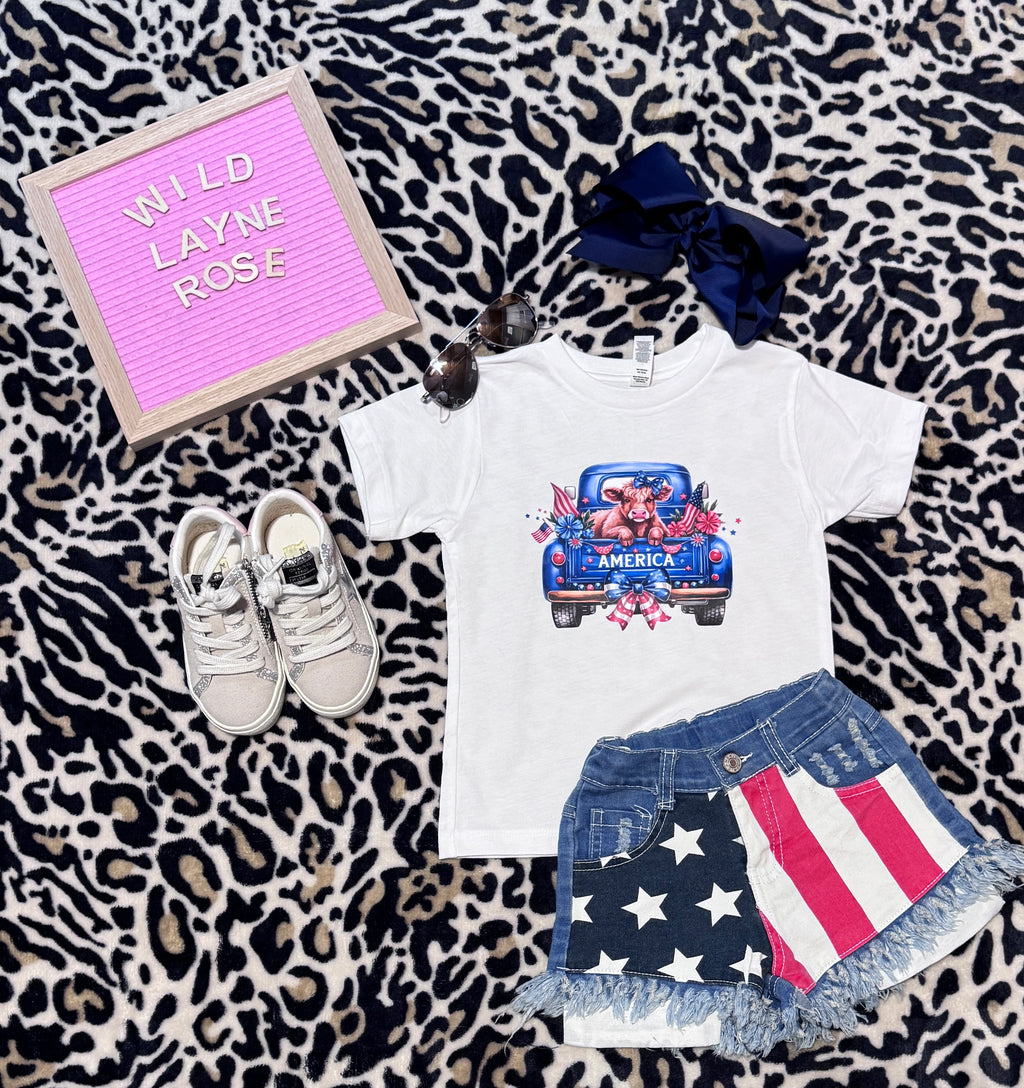 Americana Distressed Denim Shorts