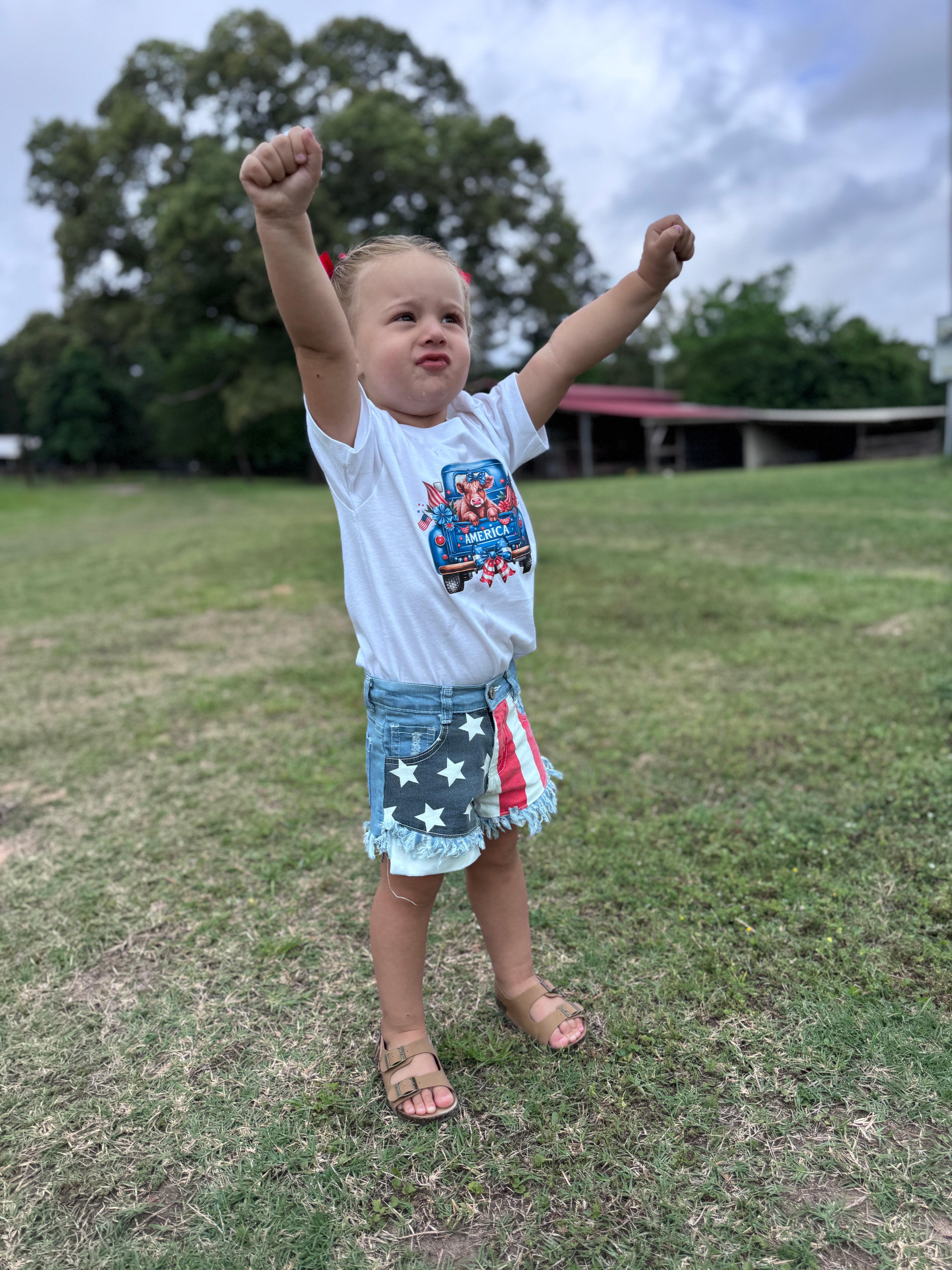 America Cow Graphic Tee—Patriotic Toddler Shirt